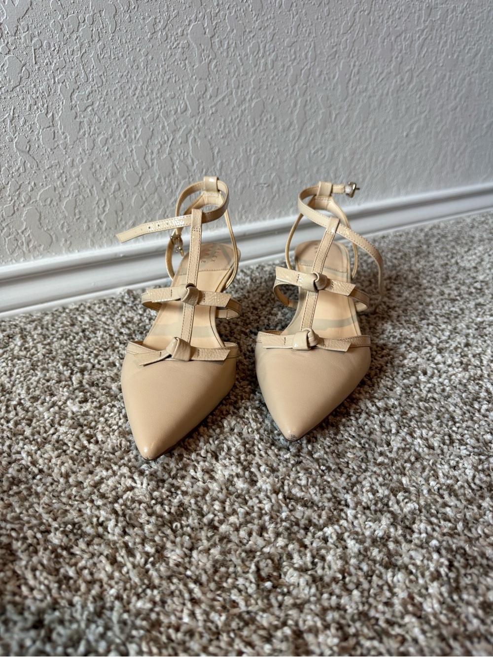 Alex Marie Nude Strappy Pointed-Toe Heels